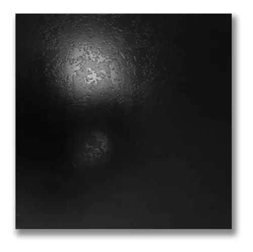 NEGRO PLUS - 56x56 - 2,17 M2 - 1º - LOURDES